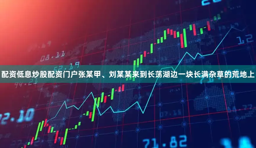 配资低息炒股配资门户张某甲、刘某某来到长荡湖边一块长满杂草的荒地上