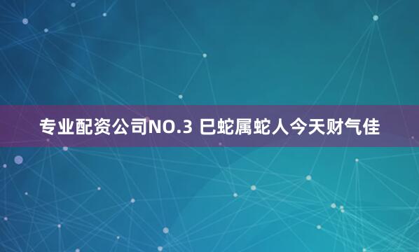 专业配资公司NO.3 巳蛇属蛇人今天财气佳