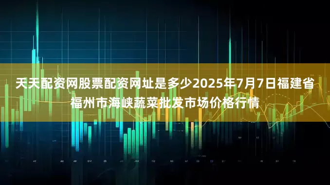 天天配资网股票配资网址是多少2025年7月7日福建省福州市海峡蔬菜批发市场价格行情